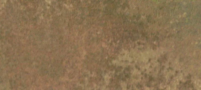 Pritchett, CO 81064