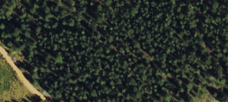 Woodland Park, CO 80863