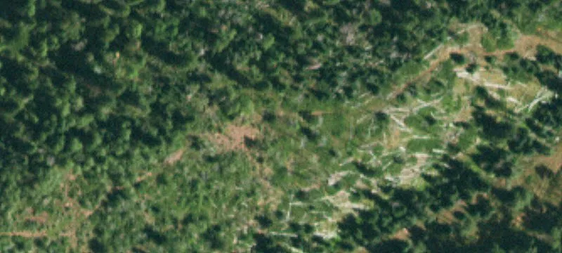 La Veta, CO 81055