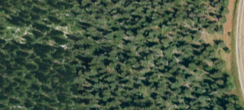 La Veta, CO 81055