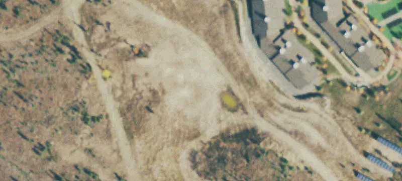 Fraser, CO 80442