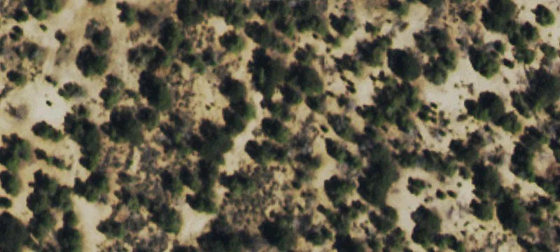 455 County Rd 83