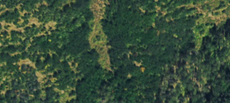 2604 County Rd 53