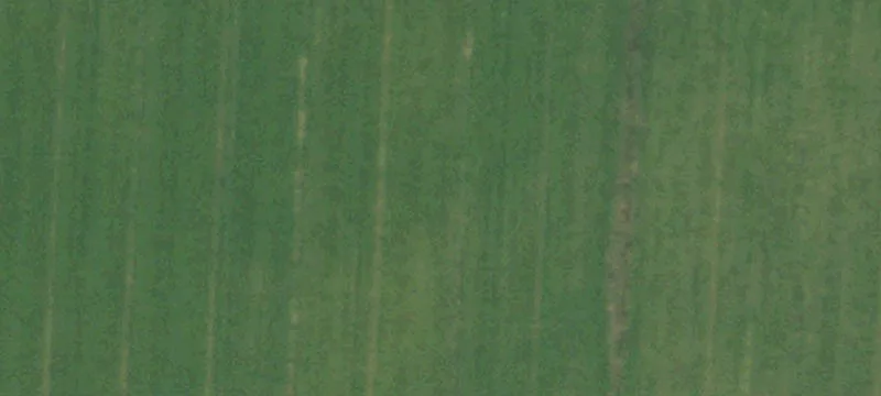 Fleming, CO 80728