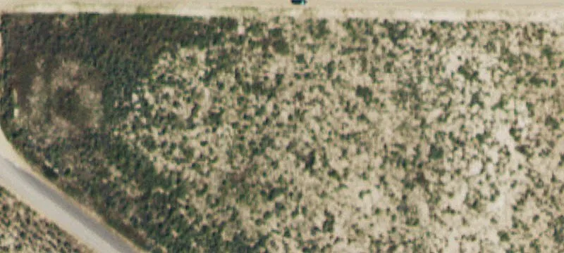 603 Dunn Deal Dr