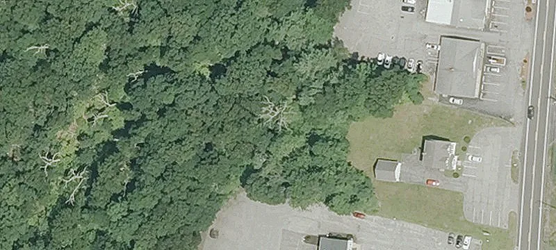 131 Norwich Rd