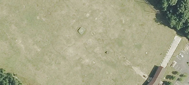 850 Gold Star Hwy