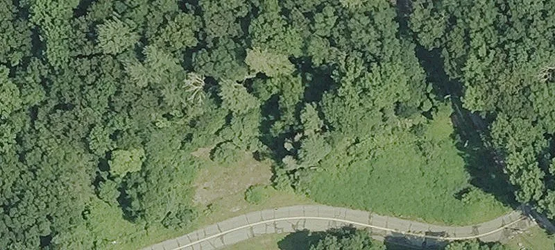 59 Kings Hwy