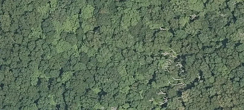 31 Lk Of Isle Rd