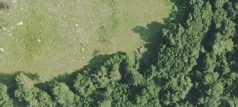 2 Consumers Ave