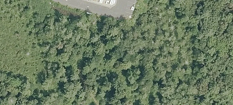 54 Stafford Rd