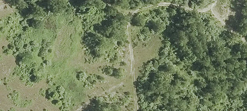 260 Pickett District Rd