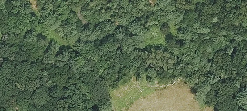 87 Ruby Rd