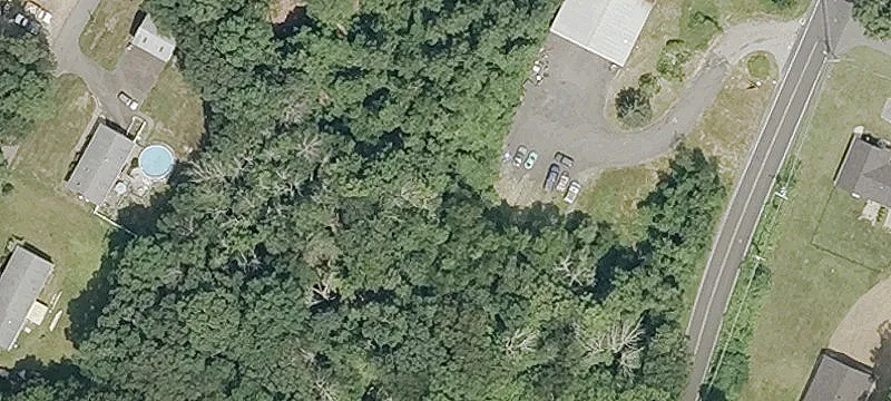 24 Daly Rd