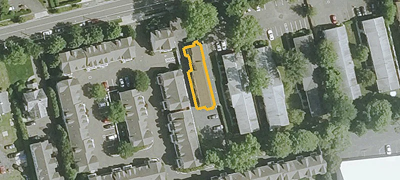 59 Maple Tree Ave