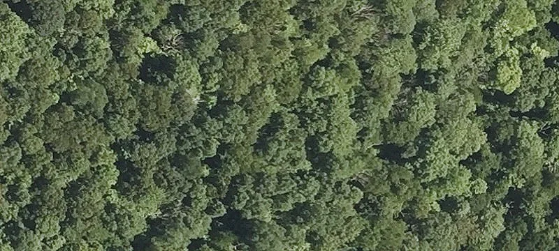 26 Fox Run Rd