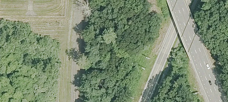 39 Tracy Rd