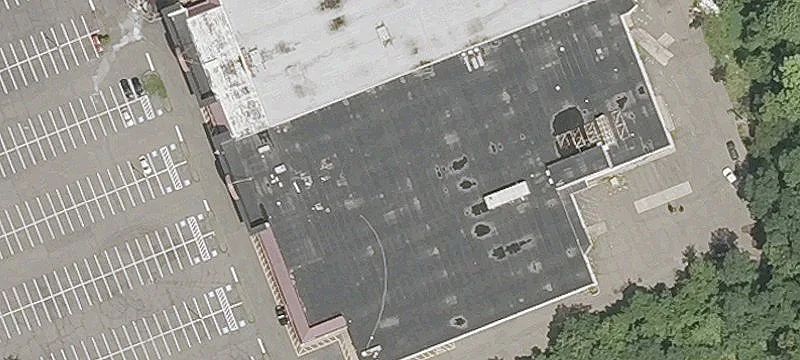 1131 Campbell Ave