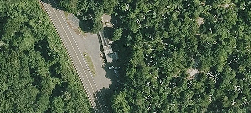 386 Madison Rd