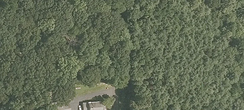 800 Ogg Mdw Rd
