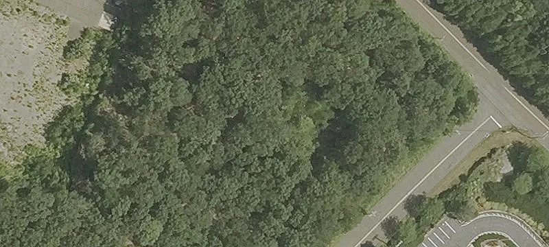 7 Ivy Brk Rd