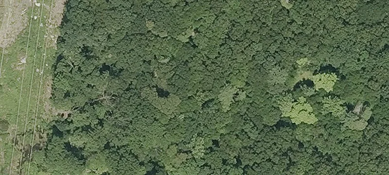 374 3rd Mile Rd