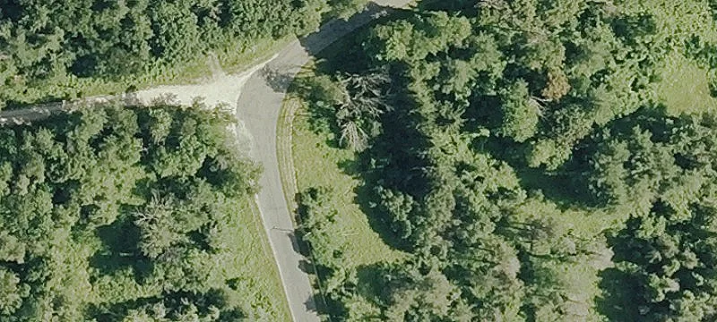 Wangum Rd