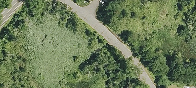 50 Fowler Rd