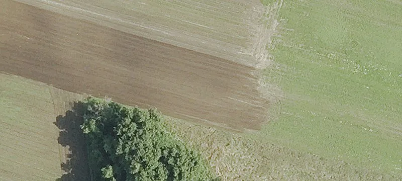 Town Farm Rd