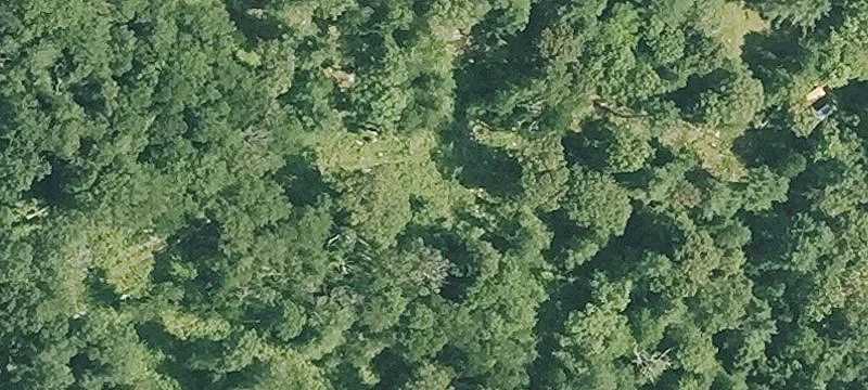 46 Woodland Rd
