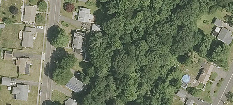 6 Elmwood Rd