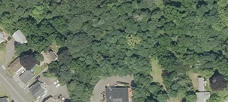 22 Windsor Ave