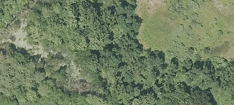 317 New State Rd