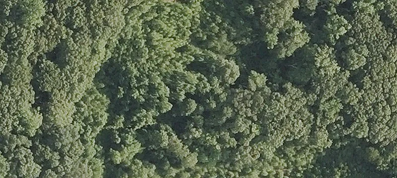1 Hillside Dr