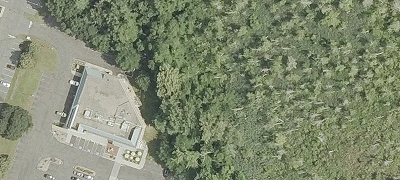 530th Bushy Hl Rd