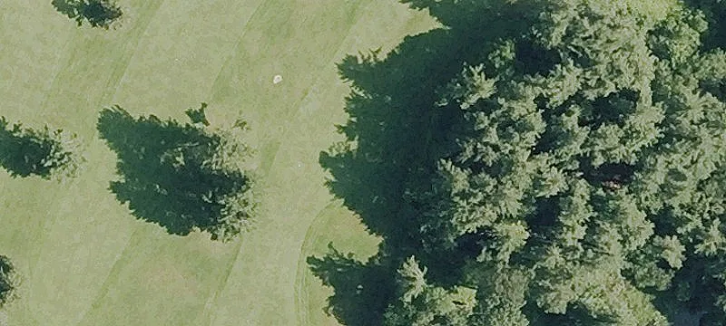 50 Golf Dr