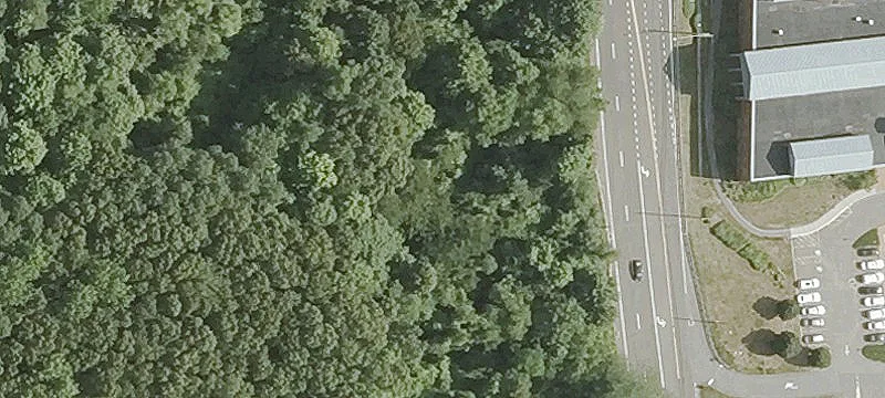 Scott Swamp Rd