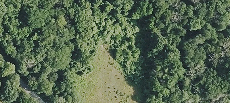 329 Rte 164