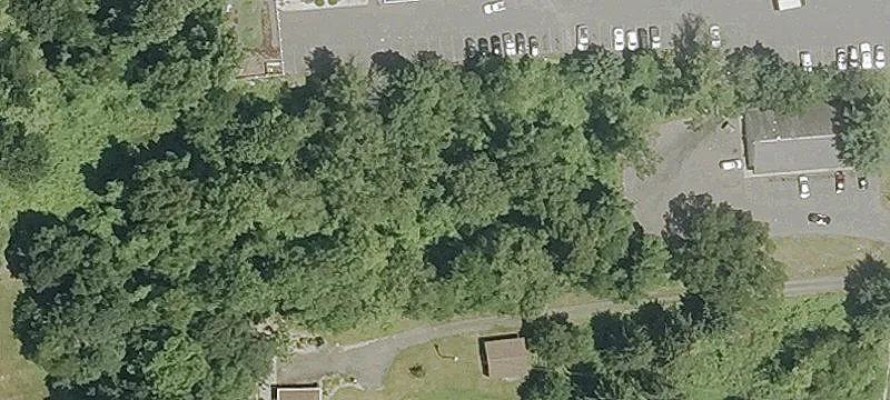 168 Cedar St