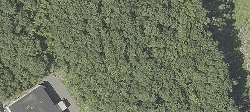 52 Tpke Dr