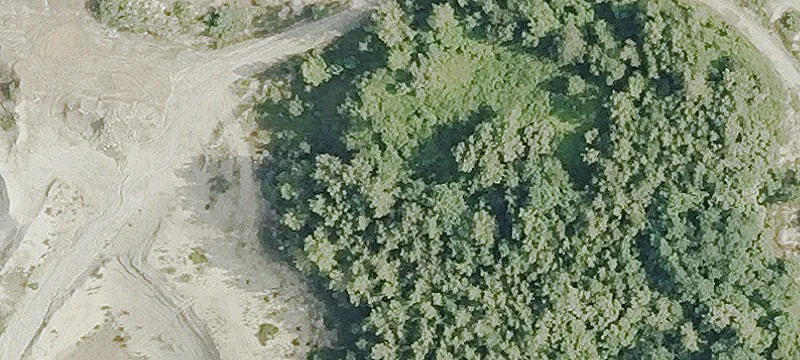 199 Plns Rd