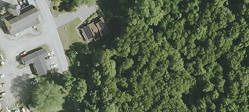 19 Maple St