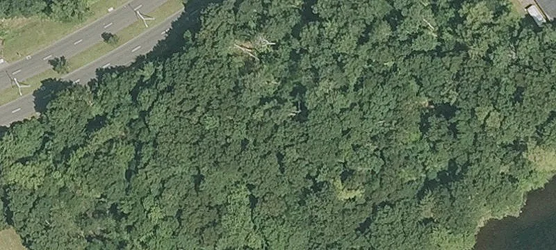 154 Old Frg Rd