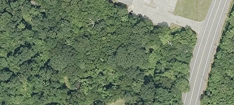 36 Hampton Rd