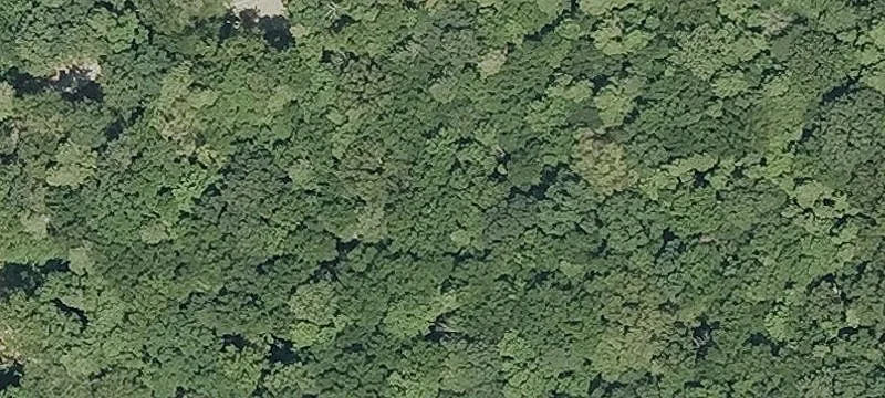 298 Haddam Moodus Rd