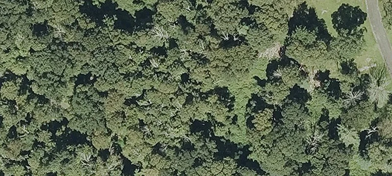 80 Lonetown Rd