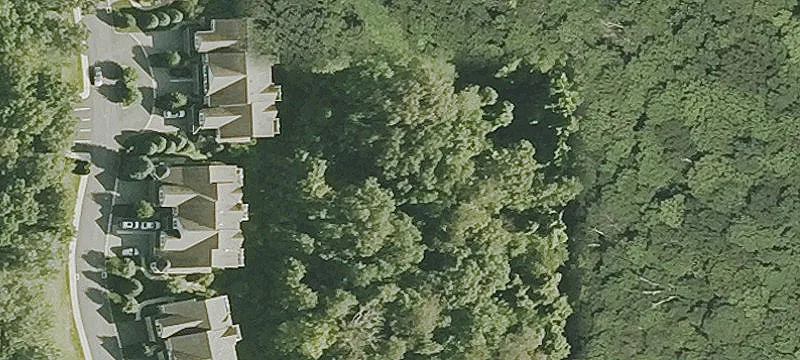 394 Hunter Dr