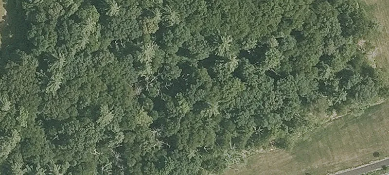 2200 Day Hl Rd