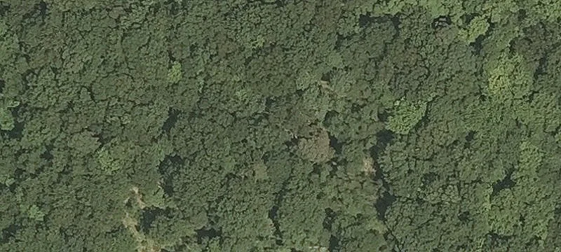 Lopus Rd