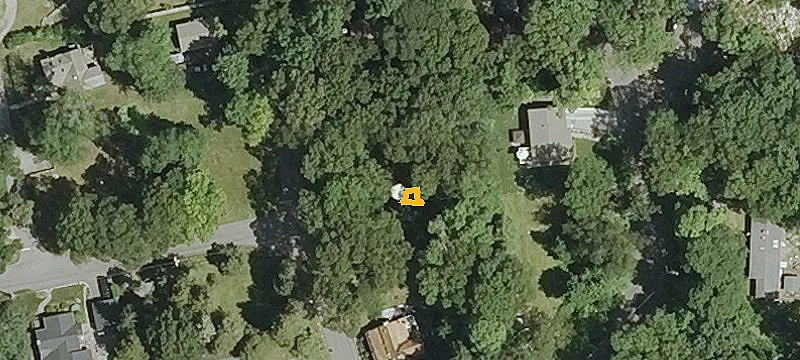 Maple Ln